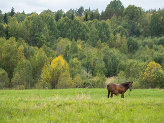 Similar image 21281556