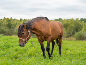 Similar image 21281558