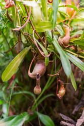 Similar image 21261572