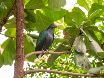 Similar image 21267995