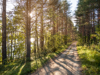 Similar image 21281565