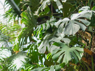 Similar image 21268000