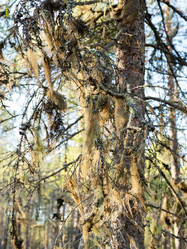 Similar image 21281570