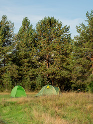 Similar image 21268002