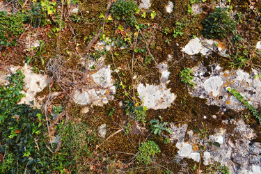 Similar image 21274272