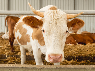 Similar image 21264414