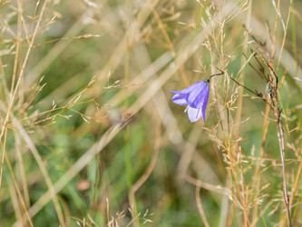 Similar image 21264415