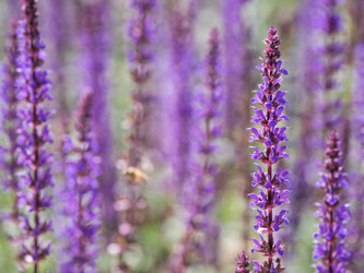 Similar image 21281580