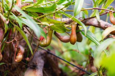 Similar image 21281583