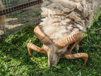 Similar image 21264429