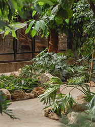 Similar image 21268011