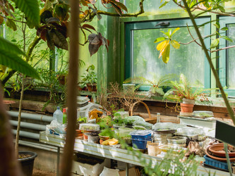 Similar image 21281586