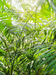 Similar image 21268018