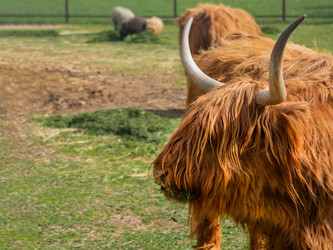 Similar image 21281587