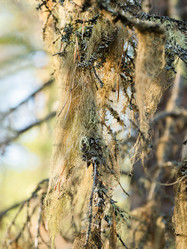 Similar image 21268019