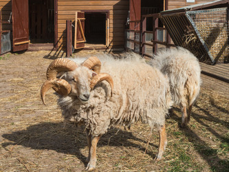 Similar image 21268021