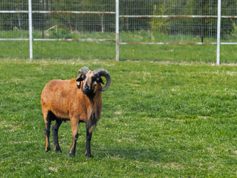 Similar image 21284885