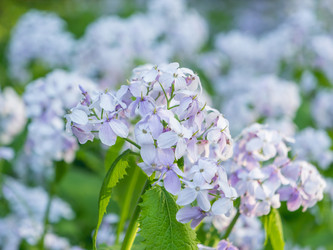 Similar image 21268025