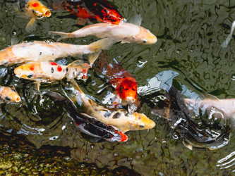 Similar image 21261574