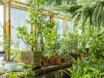 Similar image 21268027