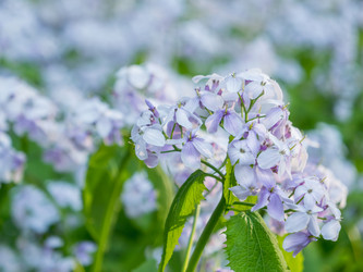 Similar image 21281592