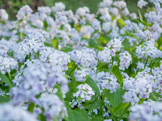 Similar image 21261577