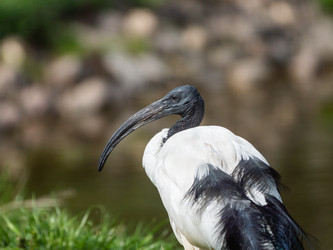 Similar image 21261583