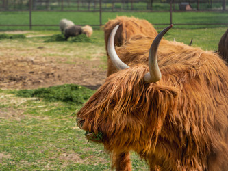 Similar image 21261588