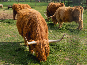 Similar image 21281597