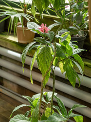 Similar image 21261591