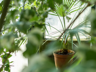 Similar image 21268034