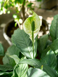 Similar image 21268035