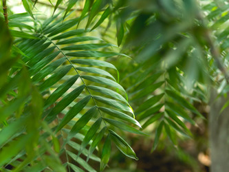 Similar image 21268037