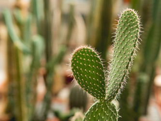 Similar image 21268038