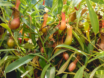 Similar image 21261595