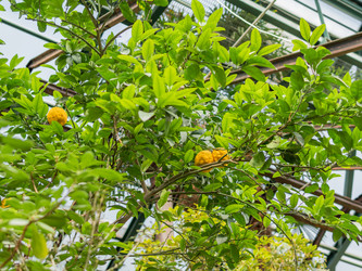 Similar image 21268039