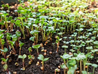 Similar image 21261600