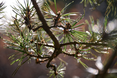 Similar image 21259221