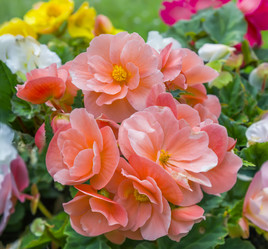 Similar image 21283141