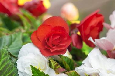 Similar image 21283348