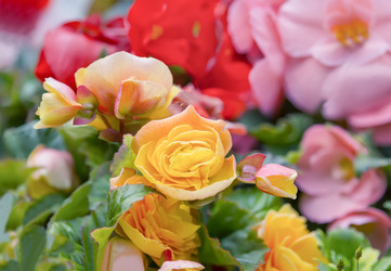 Similar image 21283349