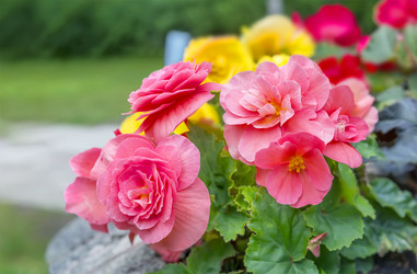 Similar image 21283351