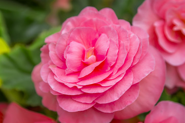 Similar image 21283396