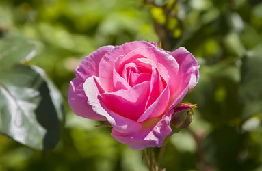 Similar image 21282788