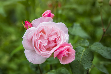 Similar image 21282789