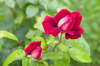 Similar image 21283018