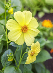 Similar image 21283019