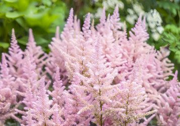 Similar image 21283142