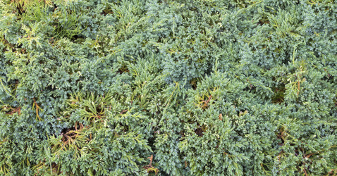 Similar image 21283143