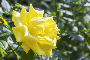 Similar image 21283147